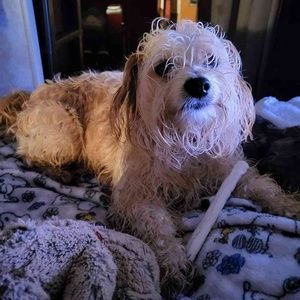 Meet your Posher, Melinda